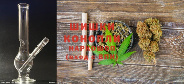 дурь Бикин