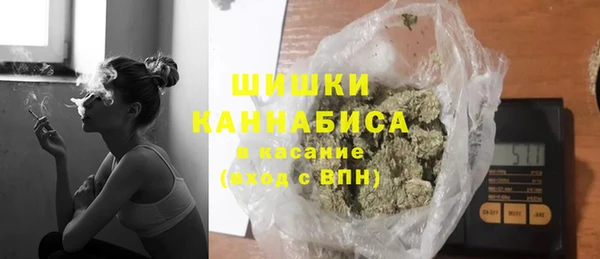 стафф Новозыбков