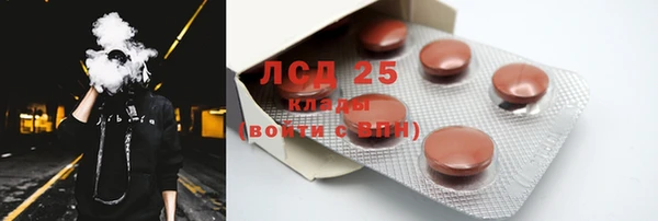 стафф Новозыбков