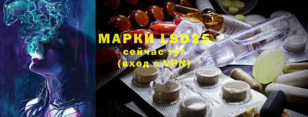 стафф Новозыбков