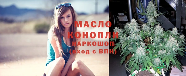 стафф Новозыбков