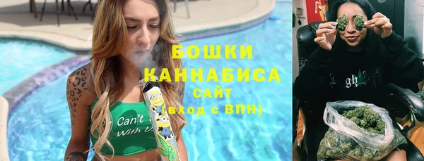 стафф Новозыбков