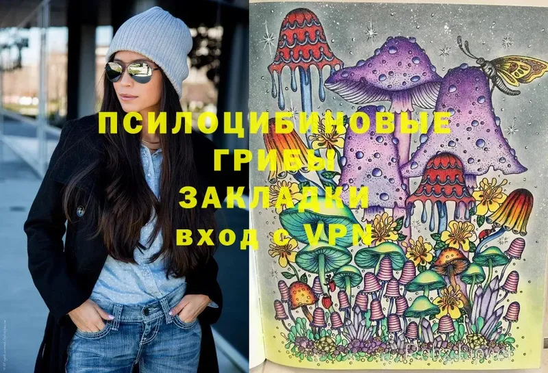 Галлюциногенные грибы Magic Shrooms  Губаха 