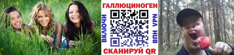 Галлюциногенные грибы Cubensis  Губаха 