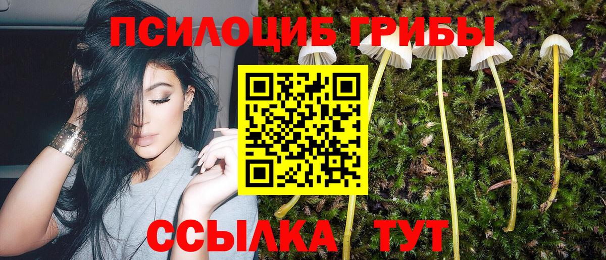 Галлюциногенные грибы прущие грибы  Вход с VPN  Губаха 