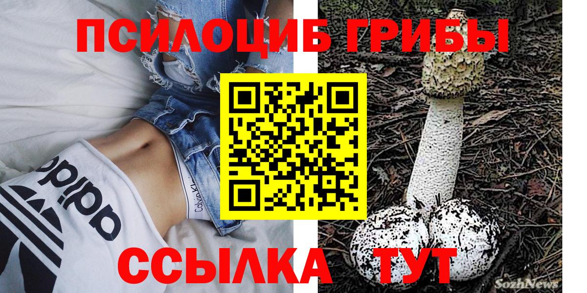 Галлюциногенные грибы Magic Shrooms Губаха